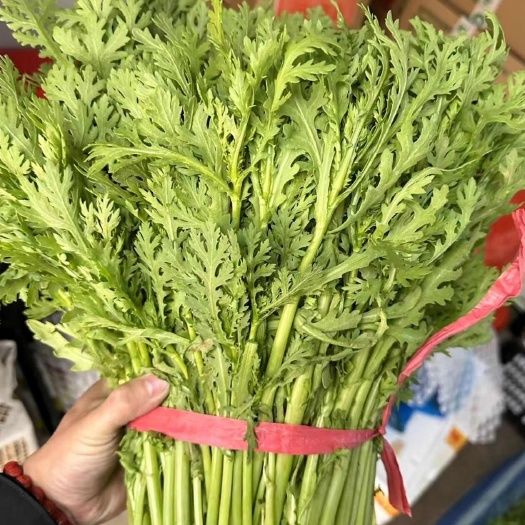 闻喜县茼蒿