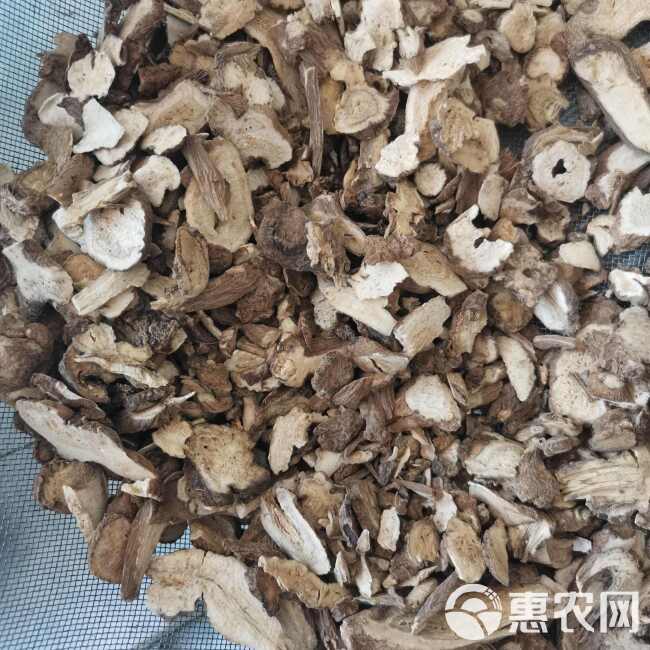 白术 圆片实图视频照【假一赔十】白术大棵粒