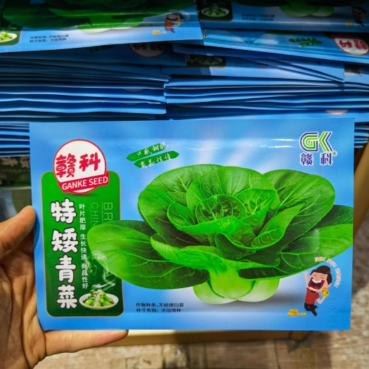 西安矮抗青种子矮脚束腰 肥厚 叶片椭圆形 耐雨水耐寒性较好