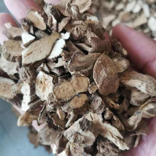 亳州白术 实图视频照【假一赔十】白术大棵粒