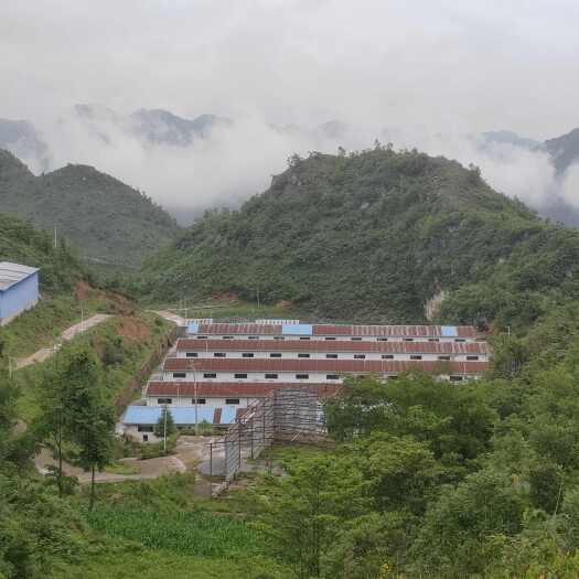 盘州市养殖场出租，水电路全通。