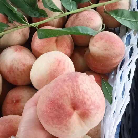  蜜桃