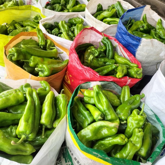 新野县辣椒，亮剑，901，大量上市，货源充足，大量供应，一手货源，