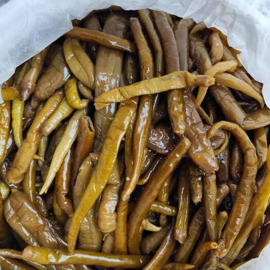 重庆市泡青二荆条90斤一桶带一个桶（不包邮）
