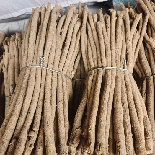 陇西县黄芪，北芪节