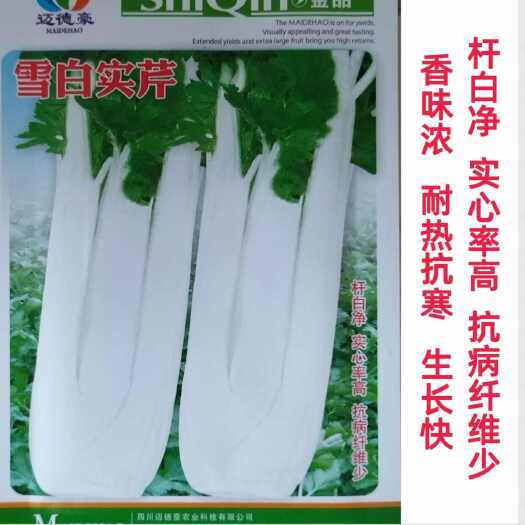 白芹种子四川白杆实芹早熟抗病四季可播抗热耐寒芹菜种籽嫩白晶莹