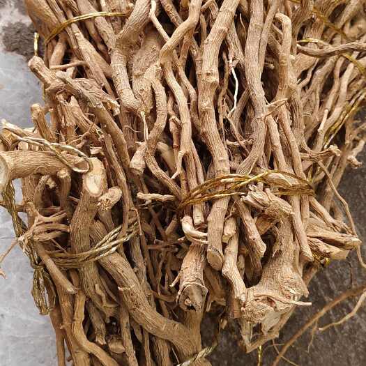 玉林黄花倒水莲