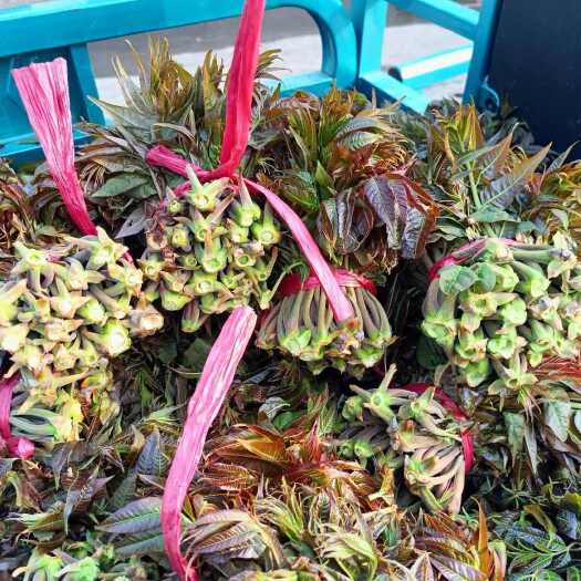 潍坊头茬香椿芽咸菜