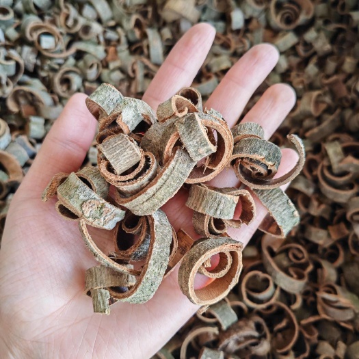 鄄城县【永发药业】厚朴 川朴 带皮厚朴去皮厚朴各种规格 货干颜色好