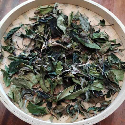 云南临沧凤庆县散装白茶 恒温保存长期新鲜 农副产品茶叶