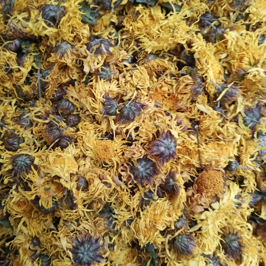 玉林黄菊花 中药材批发 一手货源 量大忧惠