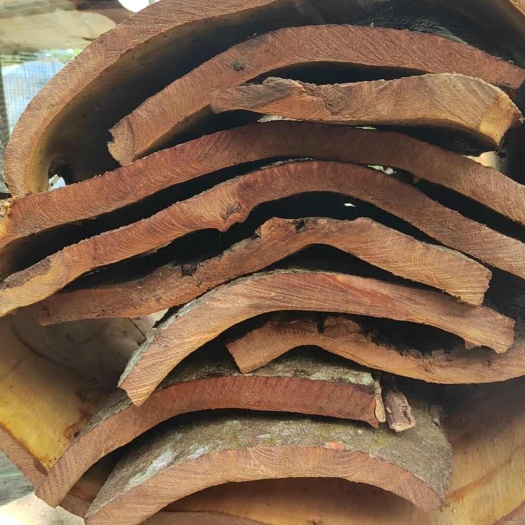 平南县销售油桂，玉桂类产品，长年供应现货，产地直销，质量保证。