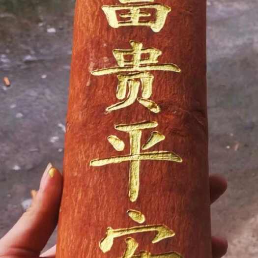 平南县销售油桂类，工艺桂，玉桂类所有产品，产地直销，质量保证，现货