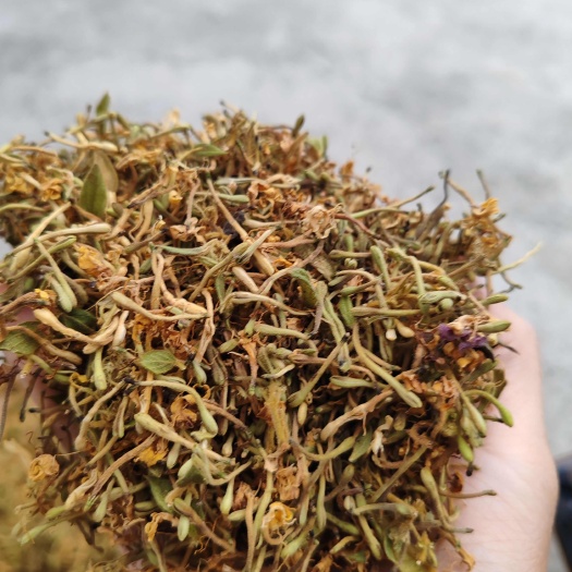 金银花，含苞待放，花苞种带一点花，太阳晒干，颜色漂亮，无硫