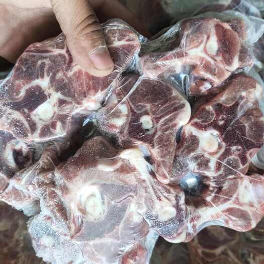 锡林浩特草地羊蝎子