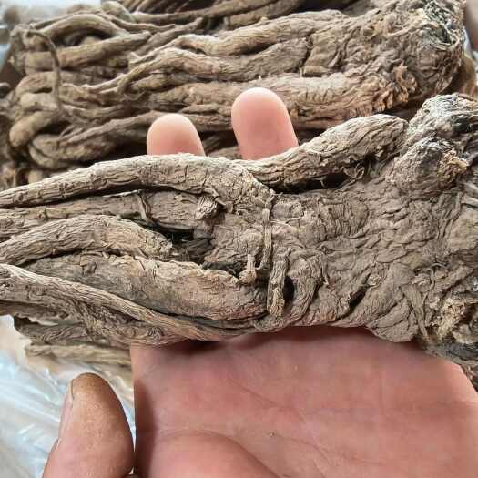 岷县甘肃当归，自然晾晒风干，无硫，产地直发，质量有保障