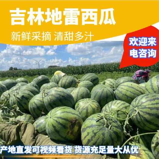 大安市吉林安广地雷西瓜  现货供应 产地直发可视频看货 口感嘎嘎甜