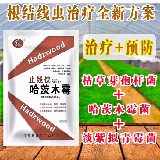 郑州微生物菌剂根结线虫专用淡紫拟青霉菌哈茨木霉菌枯草芽孢杆菌