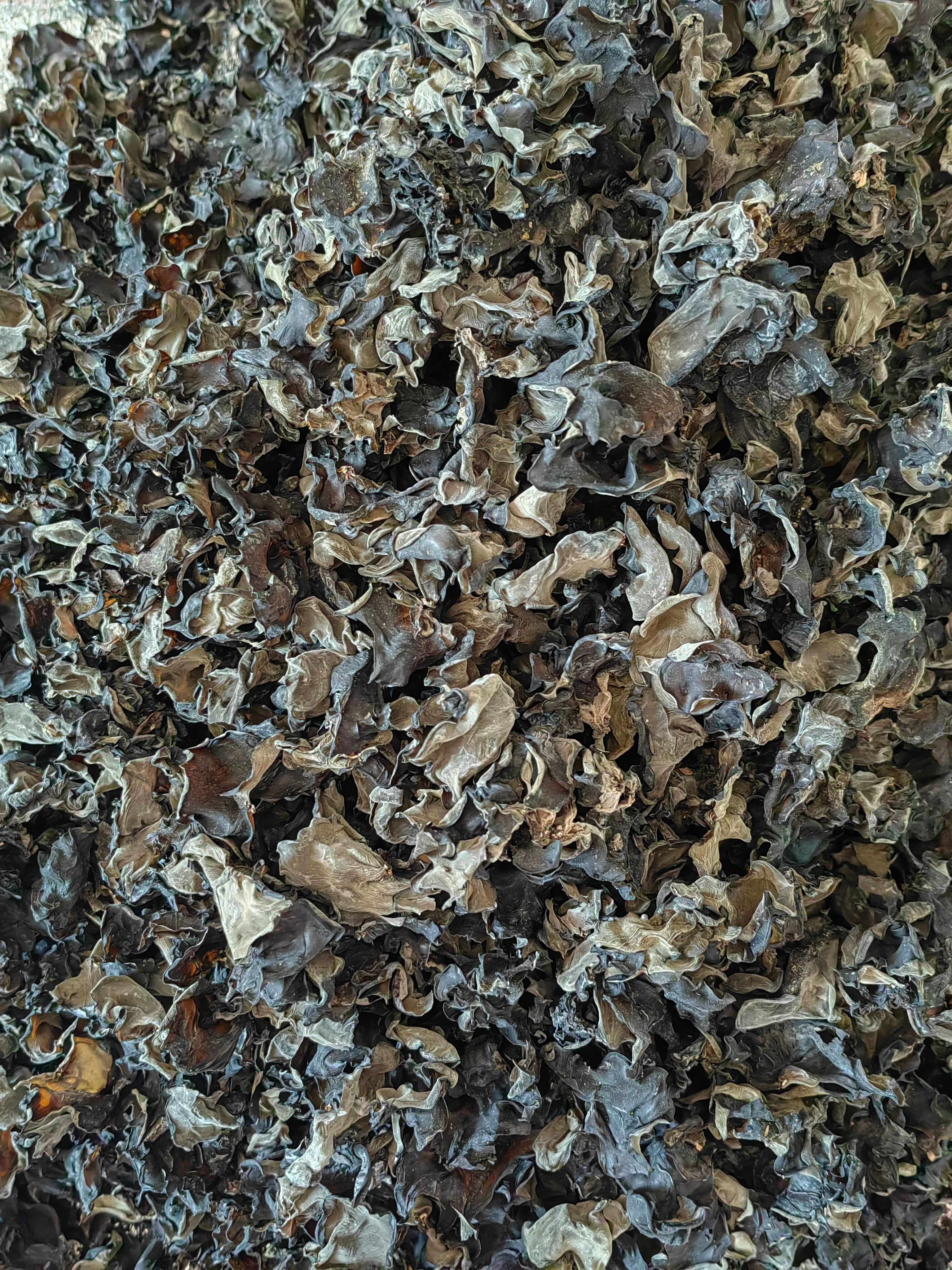 东北木耳土特产批发