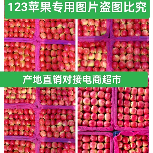 西丰县123苹果 ，来自辽宁省生铁岭西丰主产区，