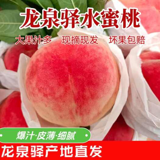 成都成都龙泉驿本地水蜜桃，批发零售均可