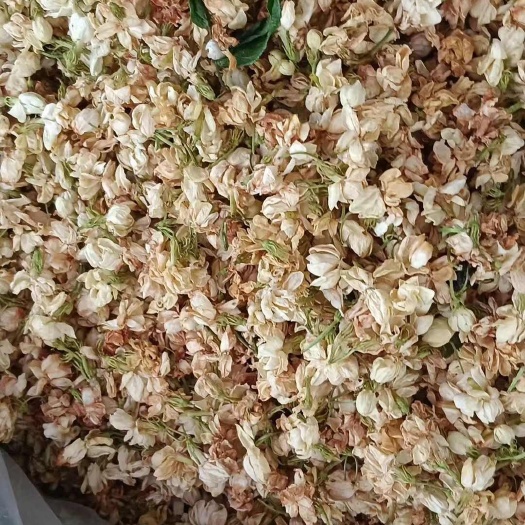 茉莉花