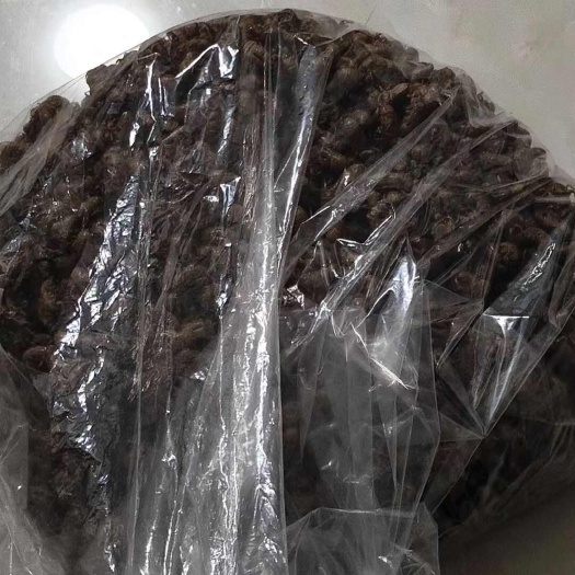 社旗县蝉蜕，新出的蝉蜕，水洗货和沙地货