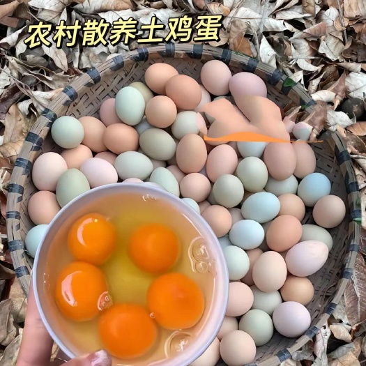 山鸡蛋，笨鸡蛋