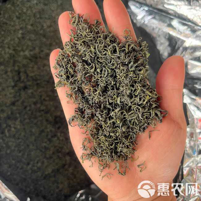 高山绿茶一级浓香型实拍