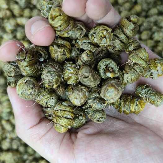 普宁市安徽霍山铁皮石斛0.8-1.2
