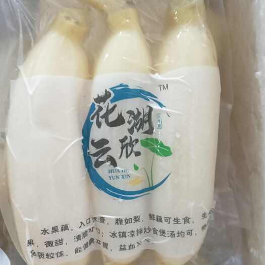 鄂州水果藕大量供应，生吃脆甜，入口无渣。