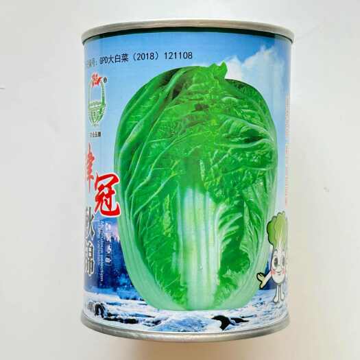 沭阳县津冠秋锦黄心大白菜种子高产抗抽苔南韩春秋两季农用大田蔬菜种籽