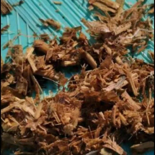 麦黄草