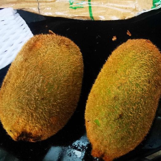 新鲜现摘猕猴桃 支持电商一件代发
