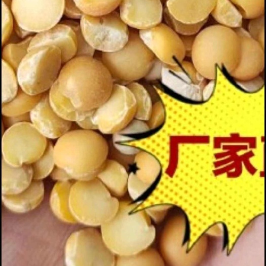  黄豆瓣