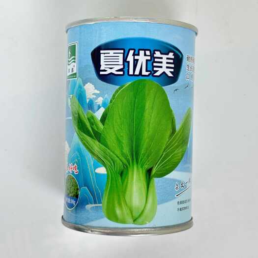 沭阳县夏优美上海青菜种子四季耐热耐湿南方青梗菜种籽速生不拔节无苦味