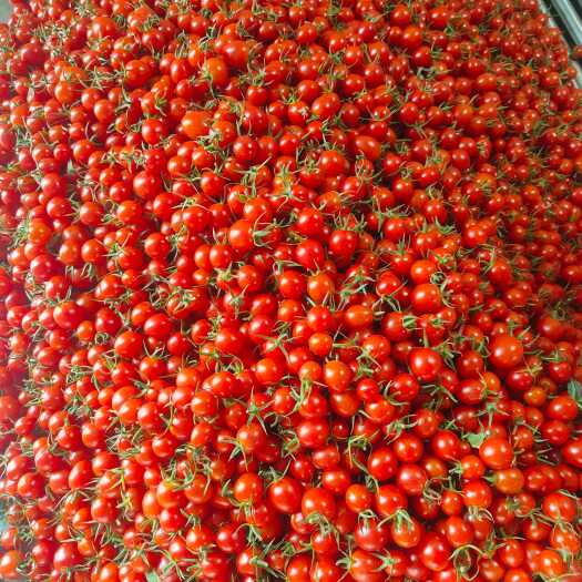 莘县Sweet and