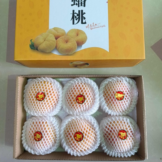 深州市油蟠桃