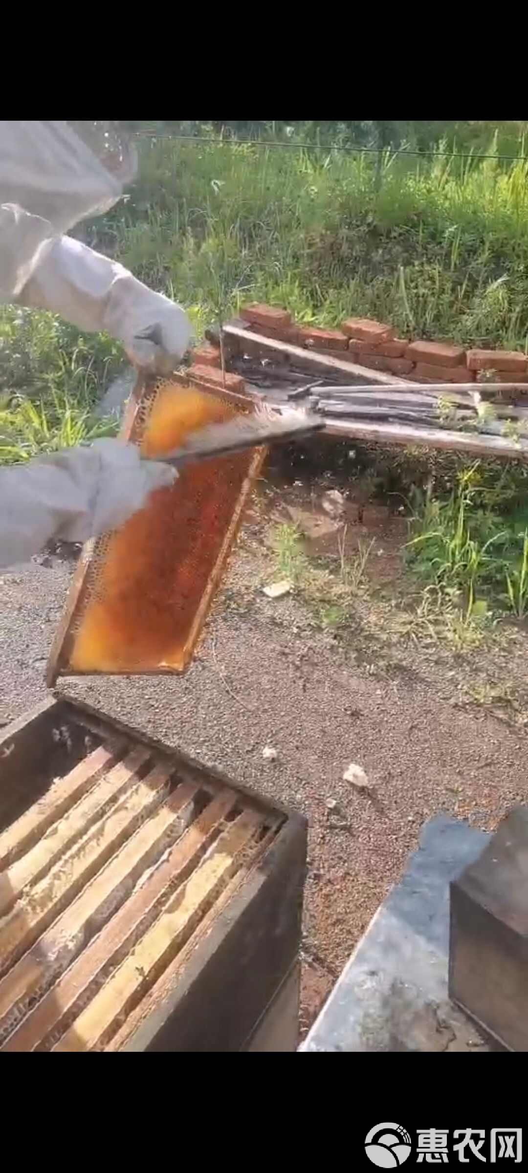 百花蜜好还是椴树蜜好(百花蜜好还是椴树蜜好?) 百花蜜好还是椴树蜜好(百花蜜好还是椴树蜜好?)