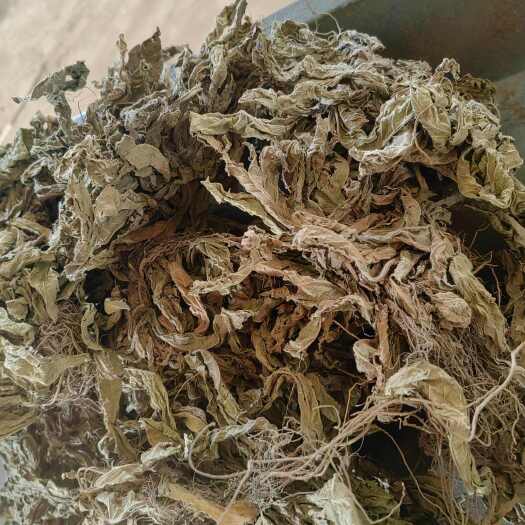  地胆草