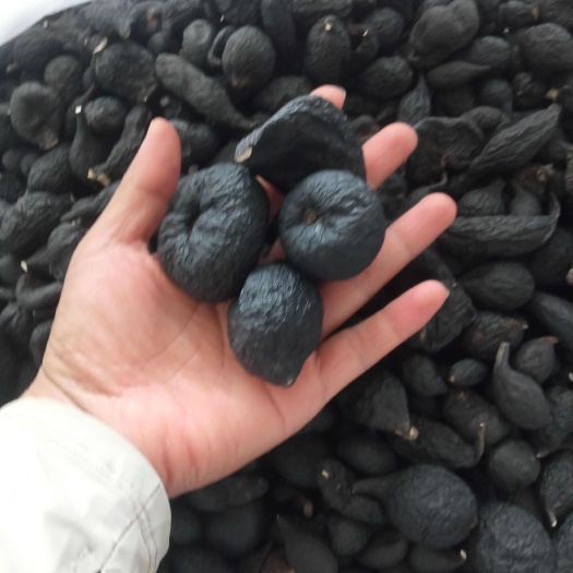 云南乌灵参，鸡枞胆，雷震子干货如图所示