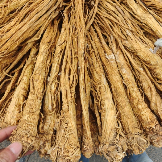 独活干个子，甘肃本地中药材，规格齐全，产地直发，诚信经营
