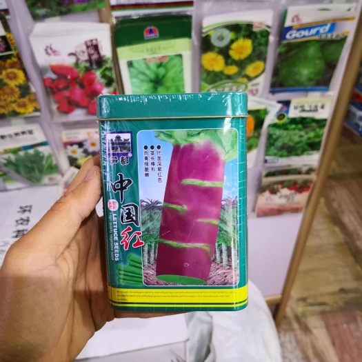 西安红莴笋种子 耐寒中国红挂丝红莴笋种子香莴笋莴苣种子农户用种