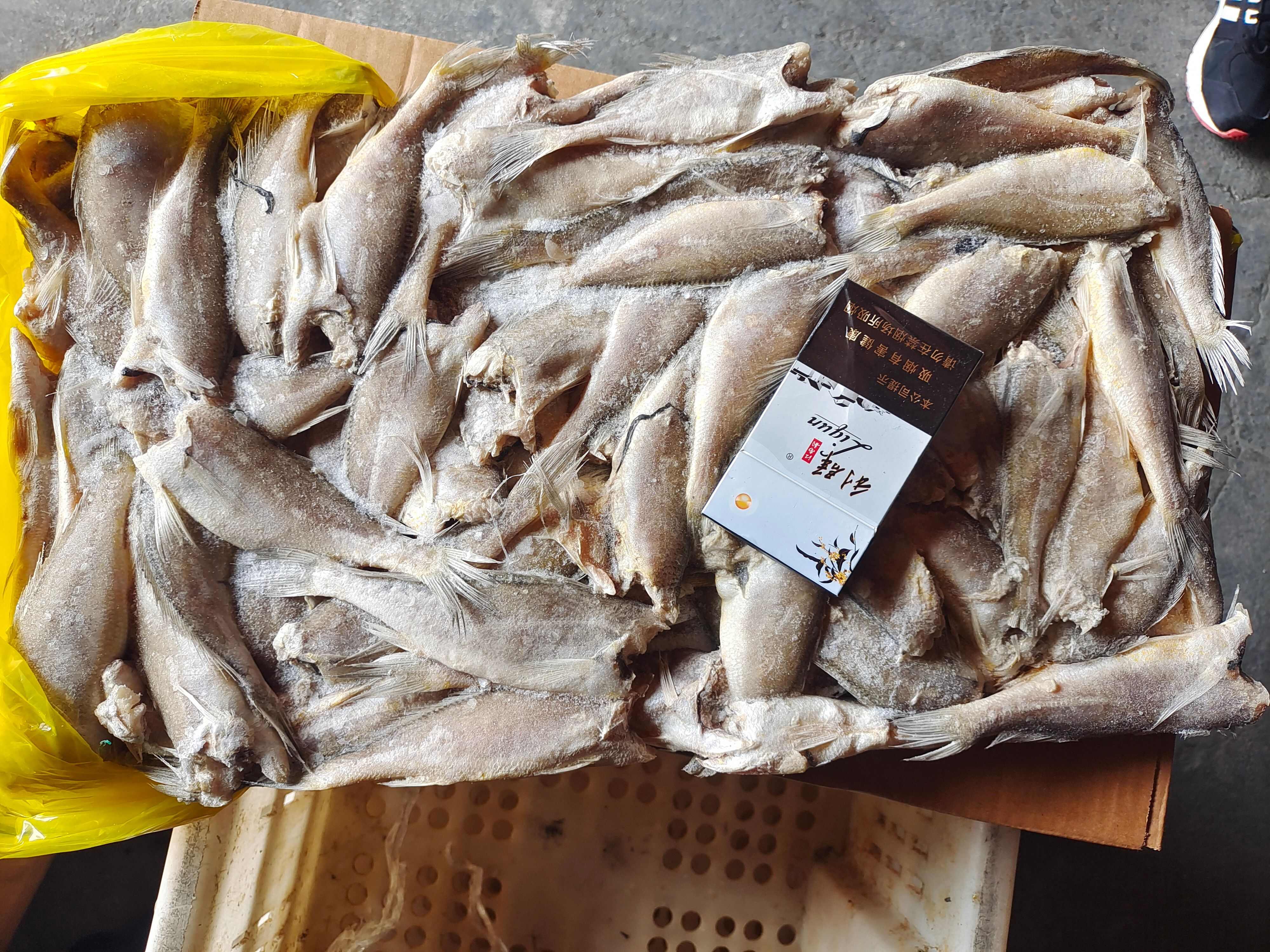 小黃魚  去頭小黃花魚，食品廠，罐頭廠原料