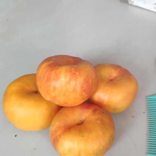 黄桃，油黄蟠桃，黄蟠桃