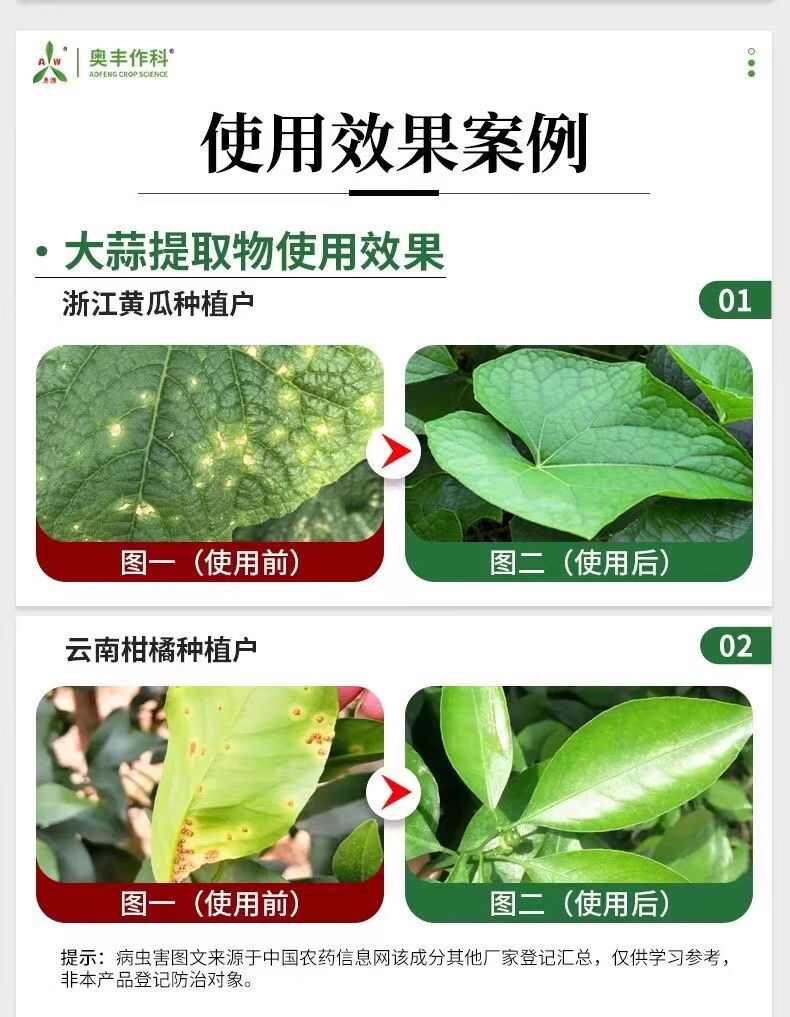 奥丰大蒜油大蒜提取物黄瓜角斑病青枯病溃疡病细菌性农药杀菌剂