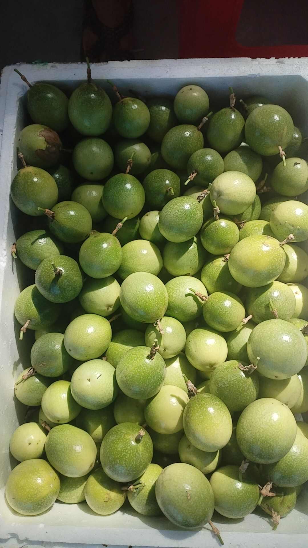 纯甜无酸，现做现卖，产地直发，一手货源