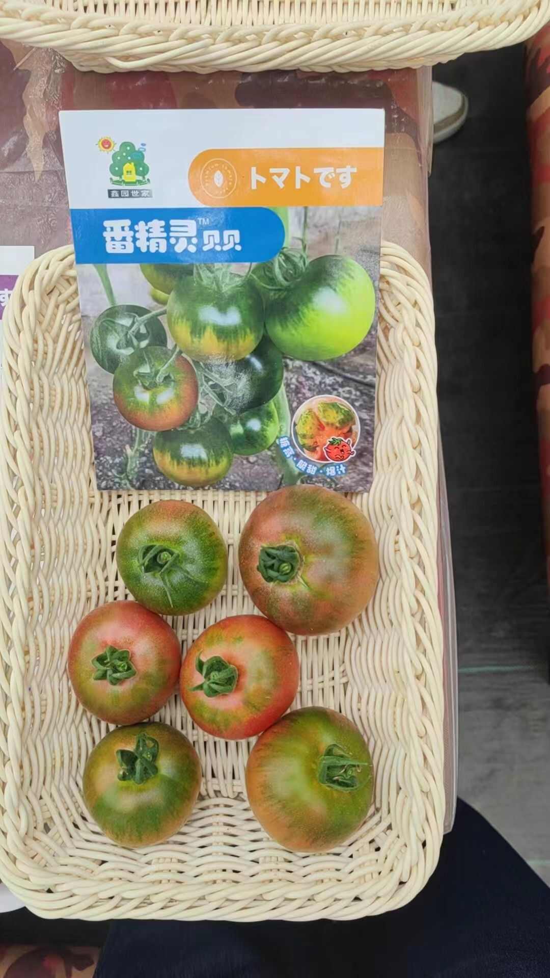 高品质口感型番茄种子 番精灵贝贝西红柿种子 草莓番茄种子