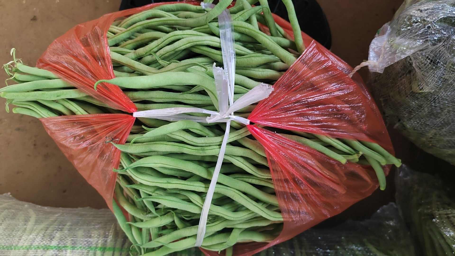 四季豆无筋豆角芸豆龙豆产地直发地头价量大价优