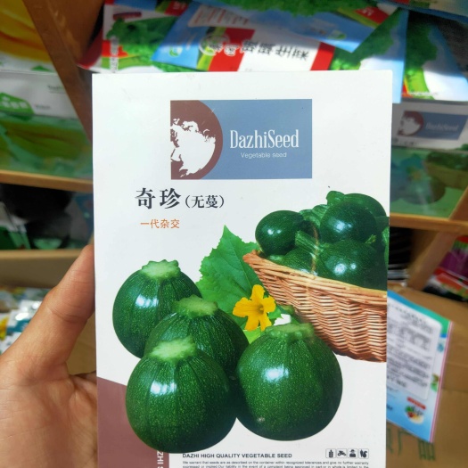 早熟圆西葫芦种子奇珍无蔓西葫芦种子小南瓜种子圆角瓜子